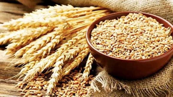 గోధుమల కోసం భారత్ను ఆశ్రయించిన బంగ్లాదేశ్